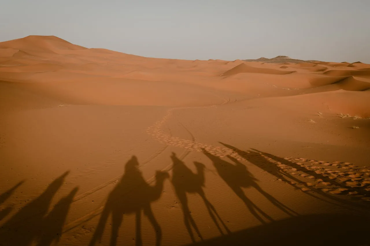 Merzouga et Erg Chebbi – off-road adventure destination in Morocco | Roadless Morocco